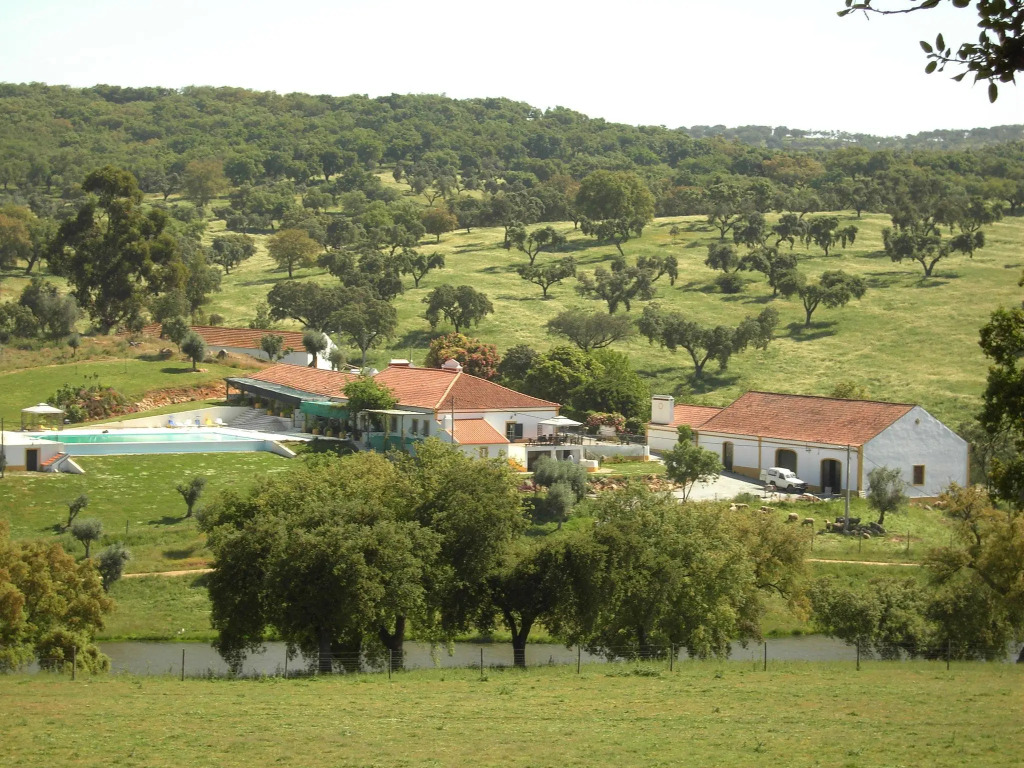 Wine Country Home in Alentejo