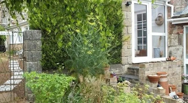 Snowdrop Cottage