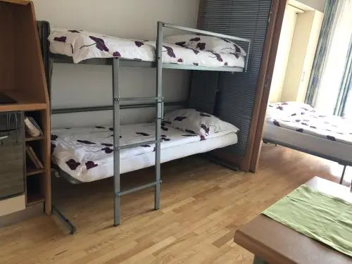 Apartment Brinovec