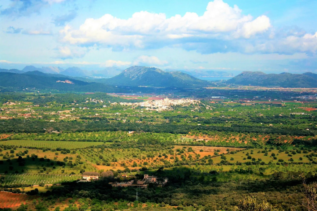 Sa Figuera Blanca Buger Finca 115