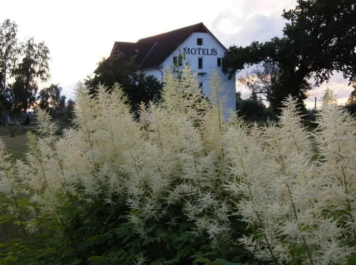 Oškrogs