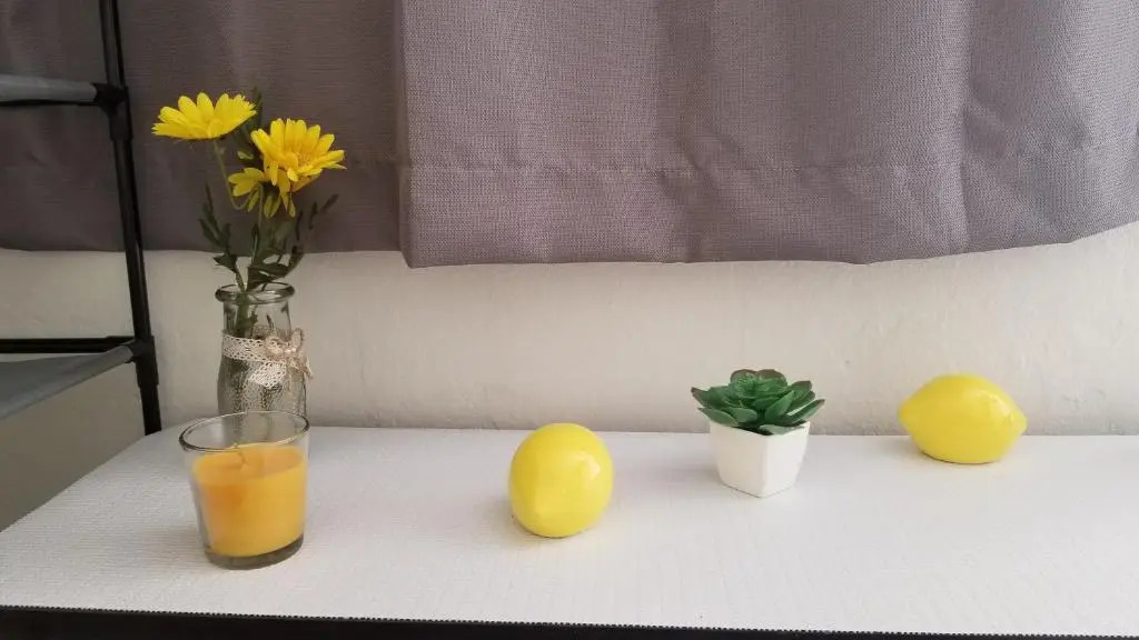 Yellow-Gray Tropical Studio