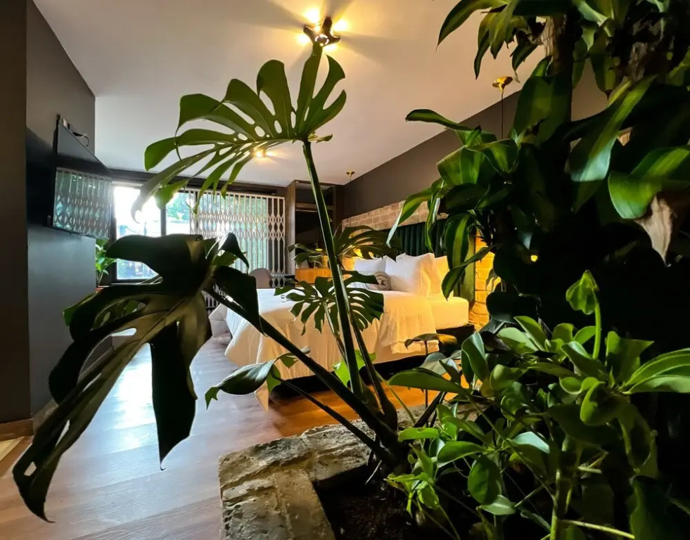 Mystic Luxury Lofts