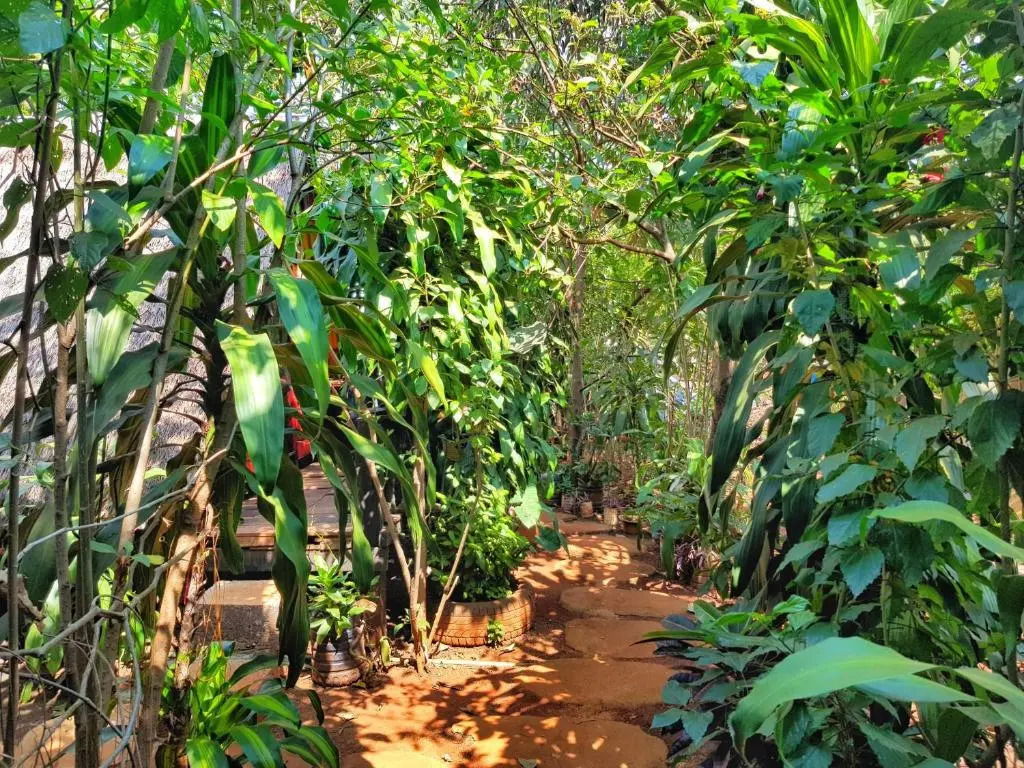 Ratanakiri Homestay & Jungle Trek