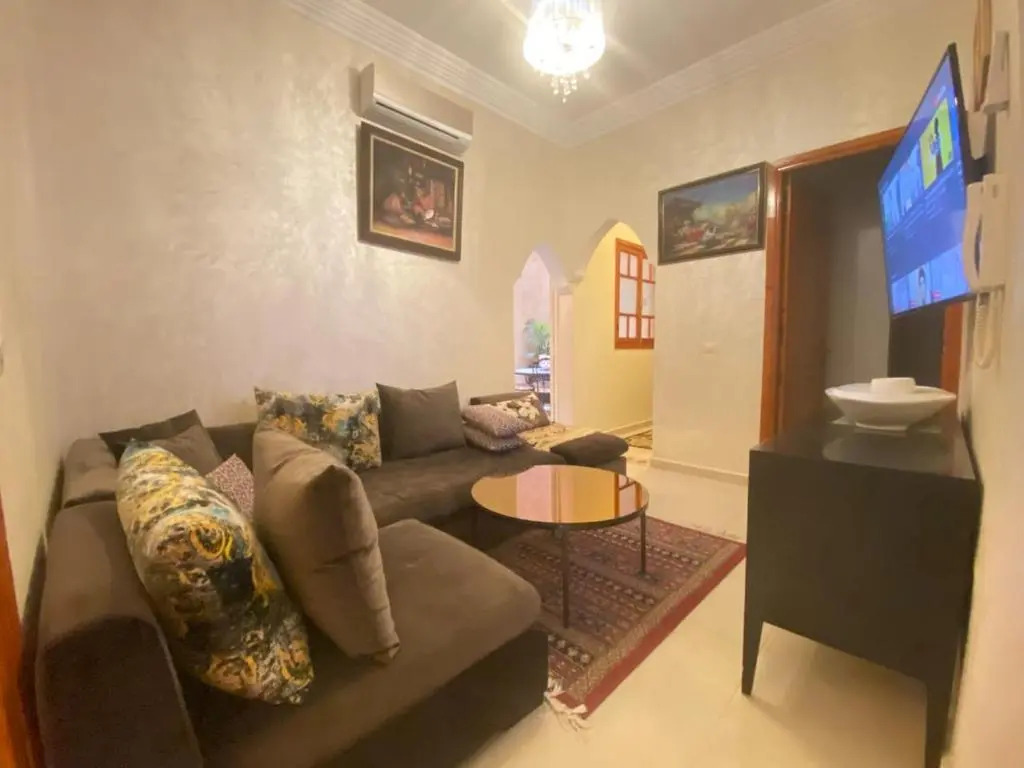 Cycas Family Aparts -Fibre Optique-
