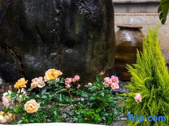 Weishi · Air Qieman Xiangmo Homestay (Dali Ancient City South Gate)