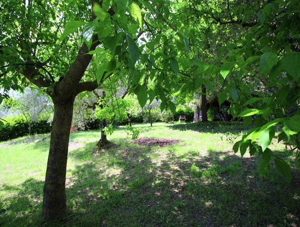 Casa Vacanze Raperonzolo