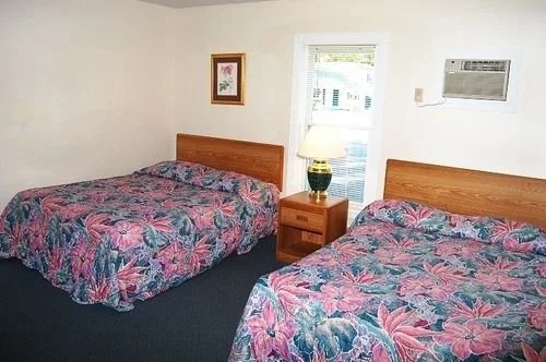Wills Inn - Bartlett