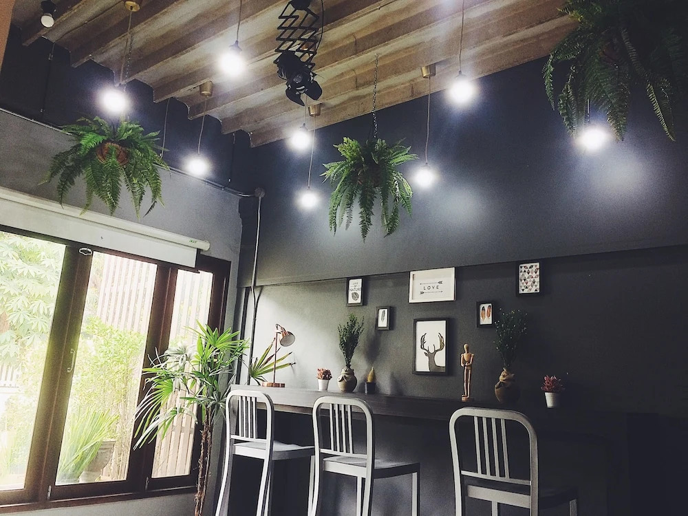OneNightZleep Hostel