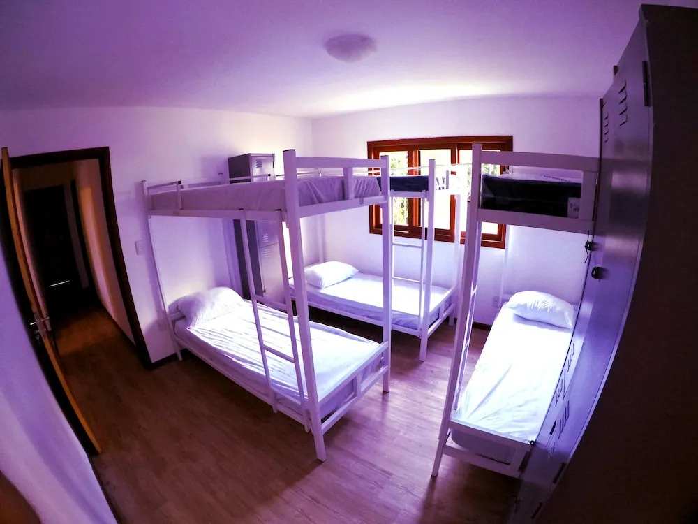 Sea Wolf Surf Hostel Campeche