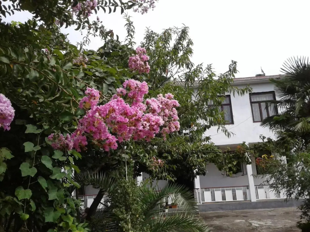 Avto House