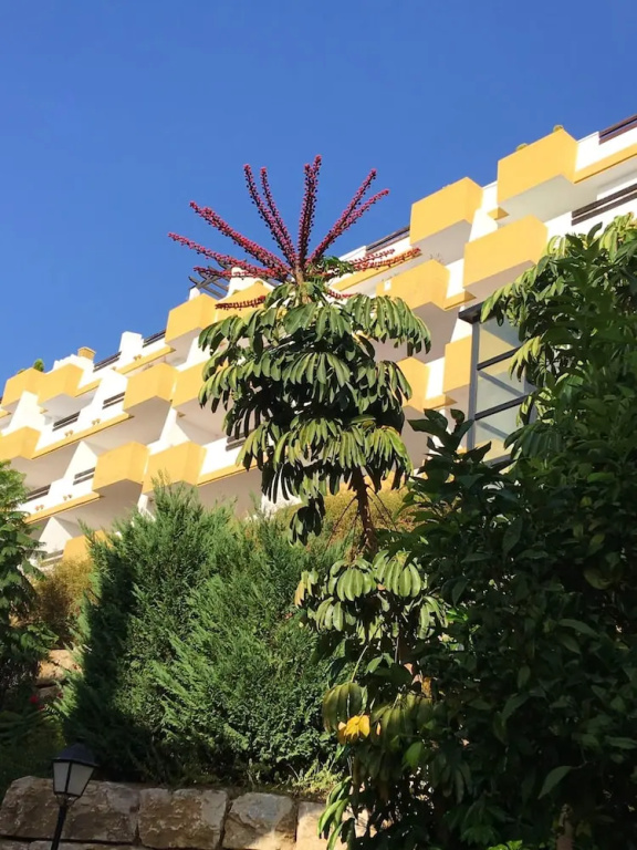 Apartment With 2 Bedrooms in Cala de Mijas, With Wonderful sea View, P