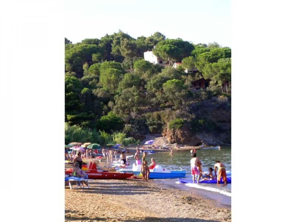Four Family House - Tree Rooms apt. 5/7 ps.; 250-300 to the sea (sandy beach)-SERENA D