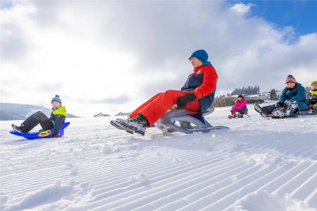 Mountain View Hotel Willingen, BW Signature Collection