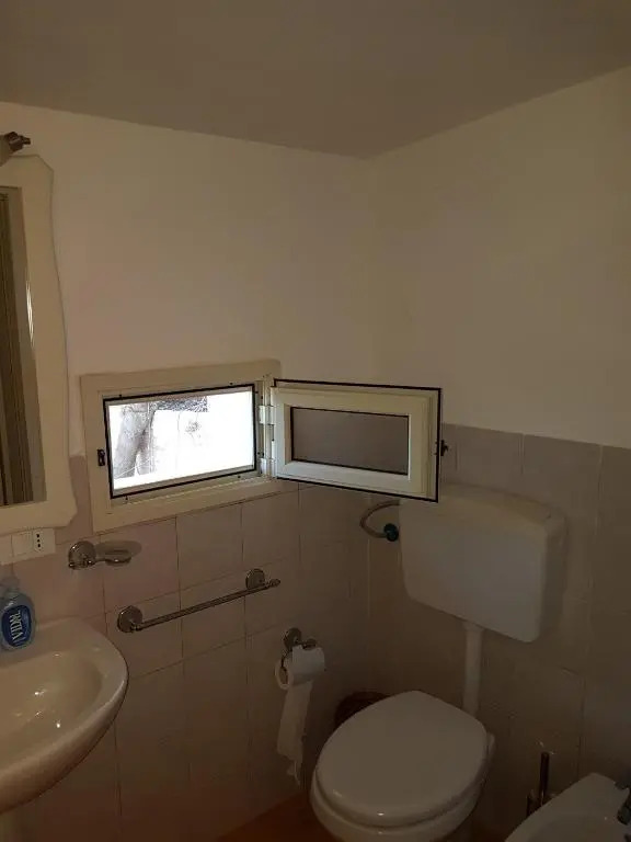 Suite Panoramic
