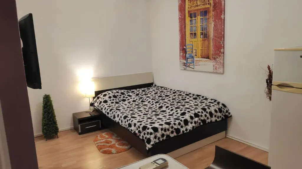 Mexonia apartment 1