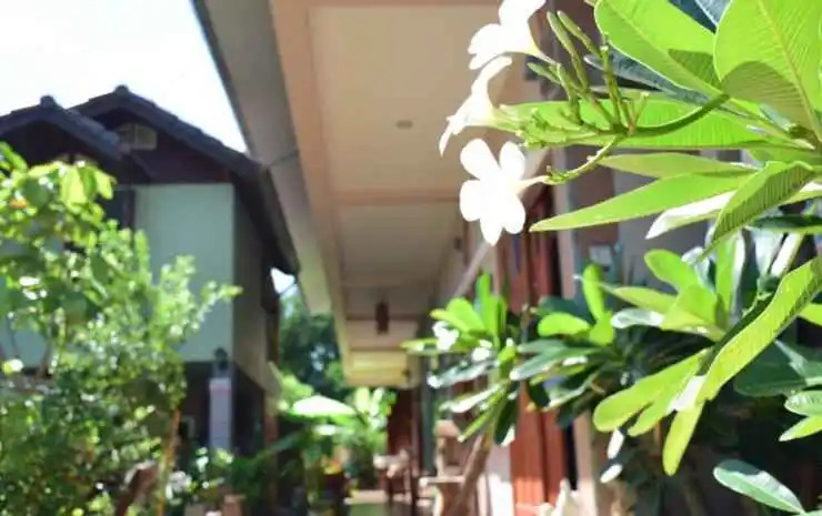 Siam Guesthouse