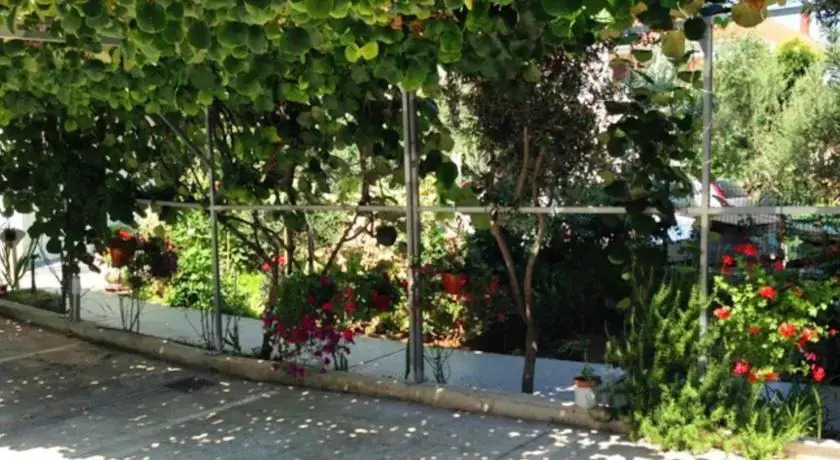 Apartments Miro