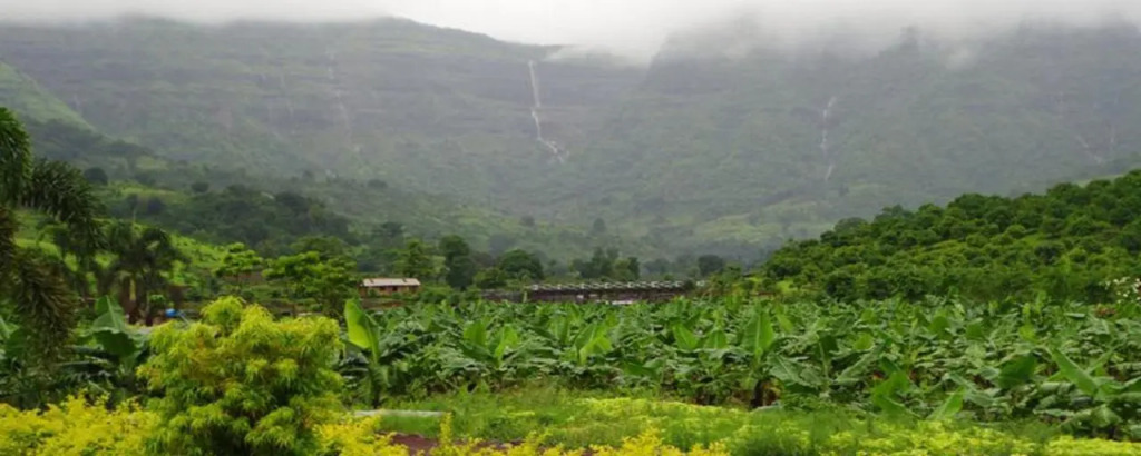 The Riverstone Agro Farm