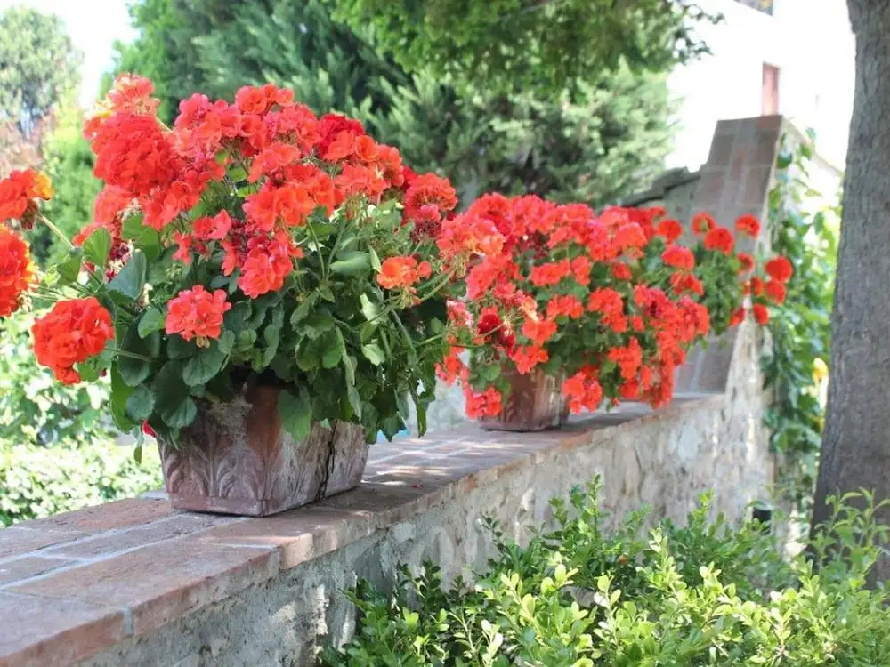 Modern Villa With Private Pool and Fenced Garden Near Lucca