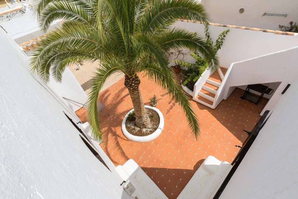 Simon Holiday House