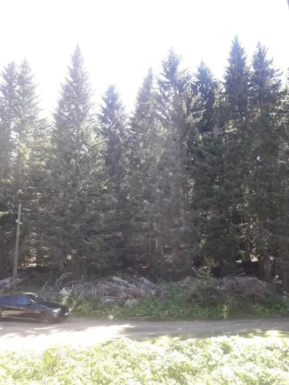 Kamena 6