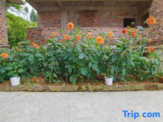 Xiyu Boutique Hostel