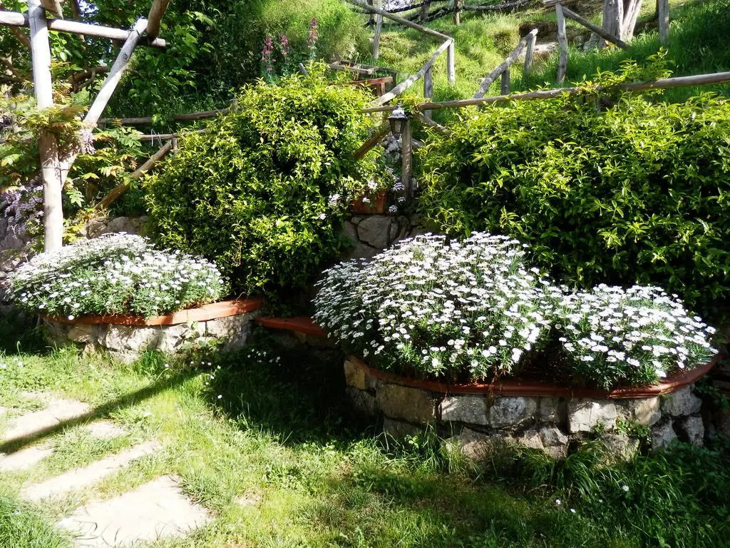Giardino 21 Marzo