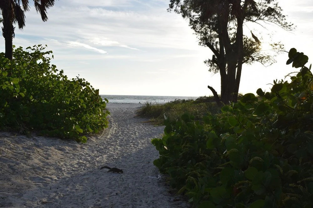 Runaway Bay 270 - 1357301