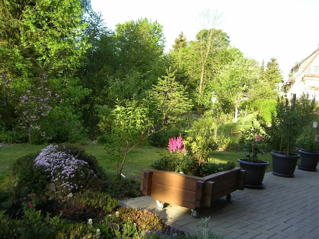 Ferienwohnung im Harz-Haus-Bruns