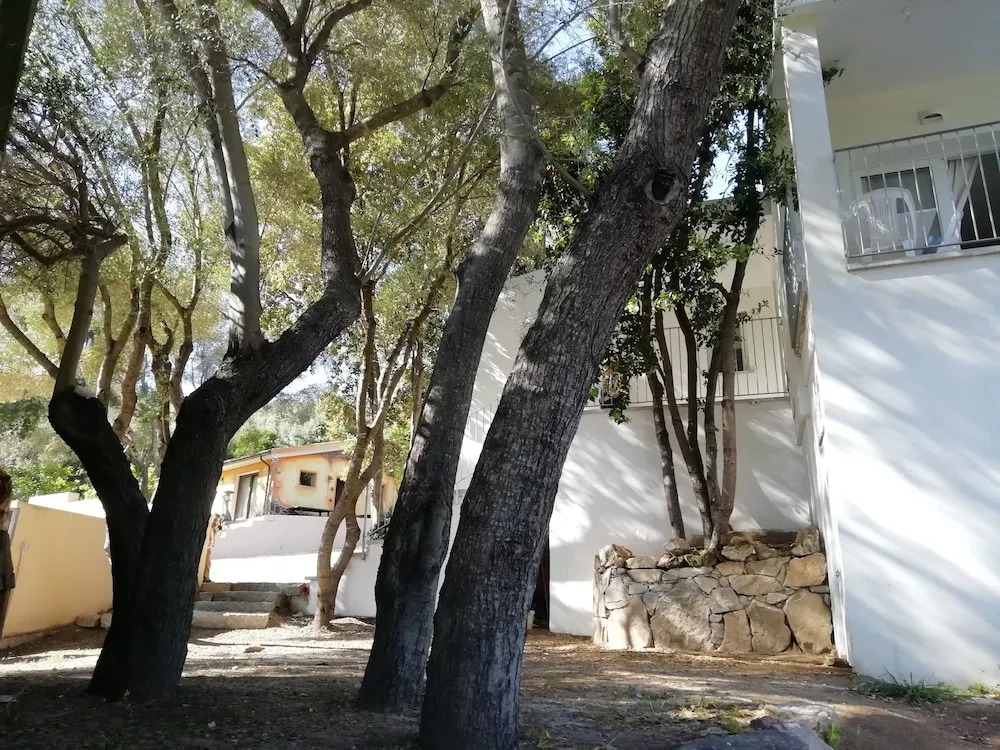 In campagna da Nino