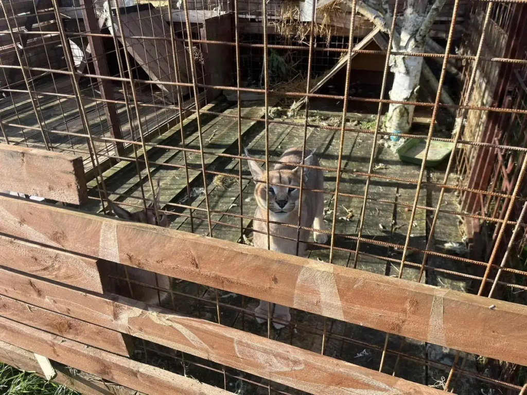 Уютные дома в квартале Бережки-2