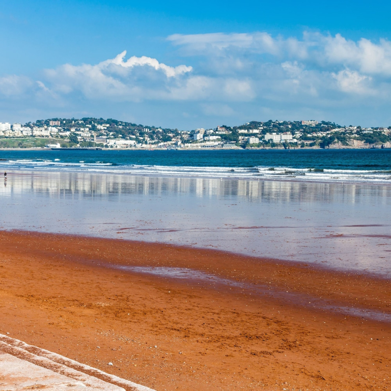 The Spinney in Paignton