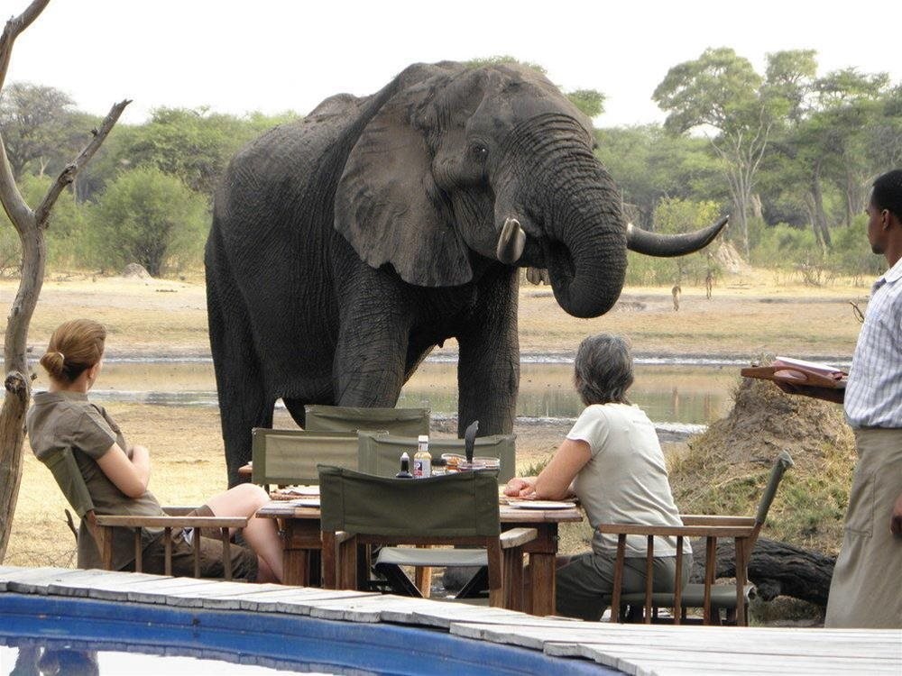 The Hide Safari Camp