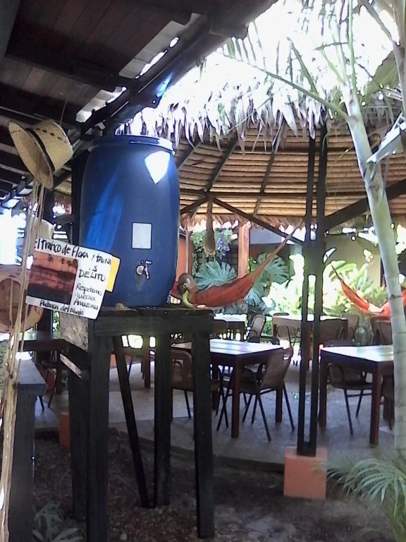 Hotel Amazon Bed And Breakfast