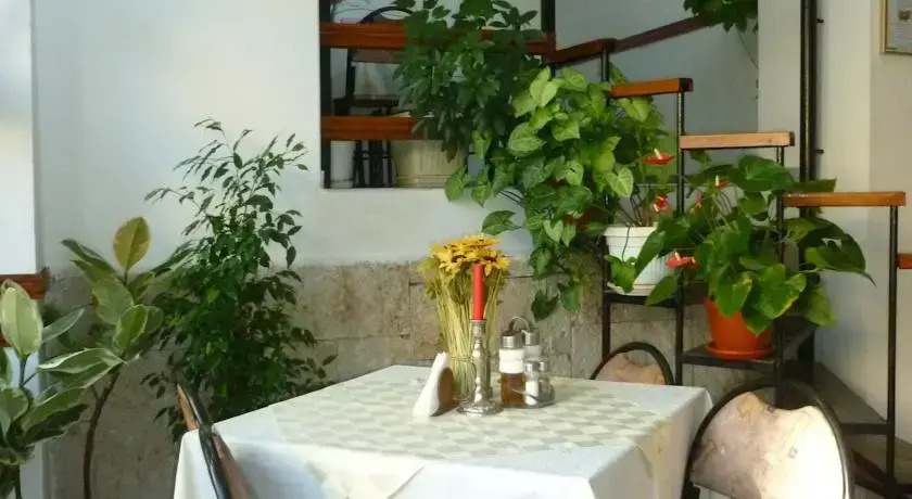 Tonus Guest House