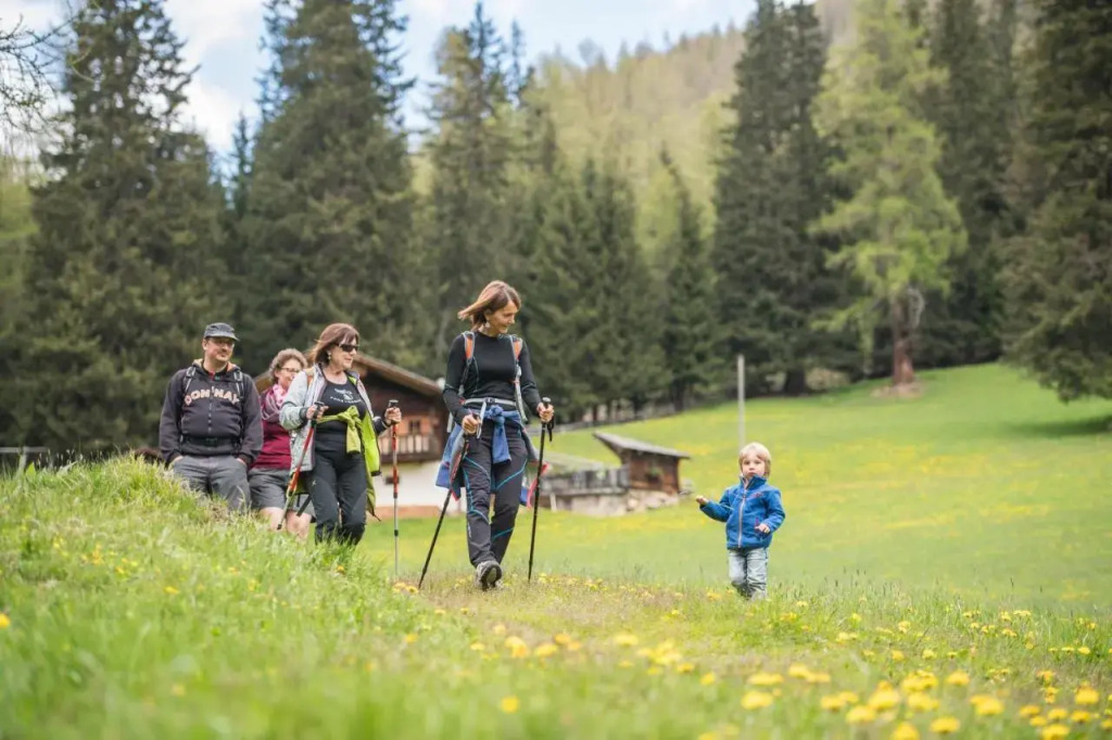 Hotel Dolomiten