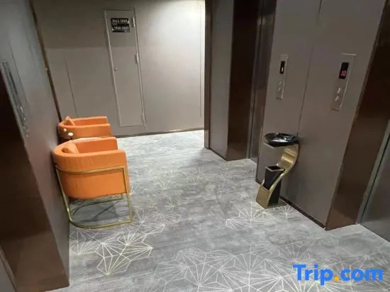 Zheyoo Collection Hotel (Baolong Plaza South Railway Station)