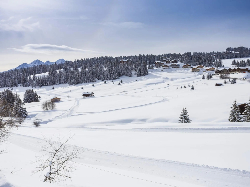 Modern apartment in authentic ski village les Saisies