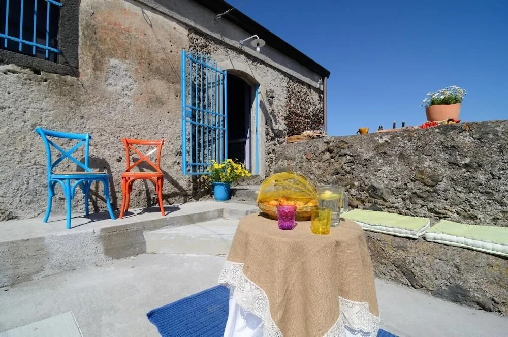 Il Tanaceto