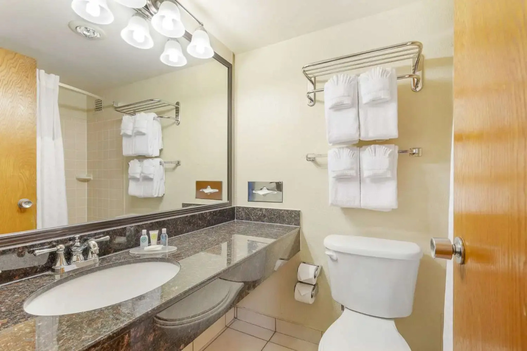 Comfort Inn University Center
