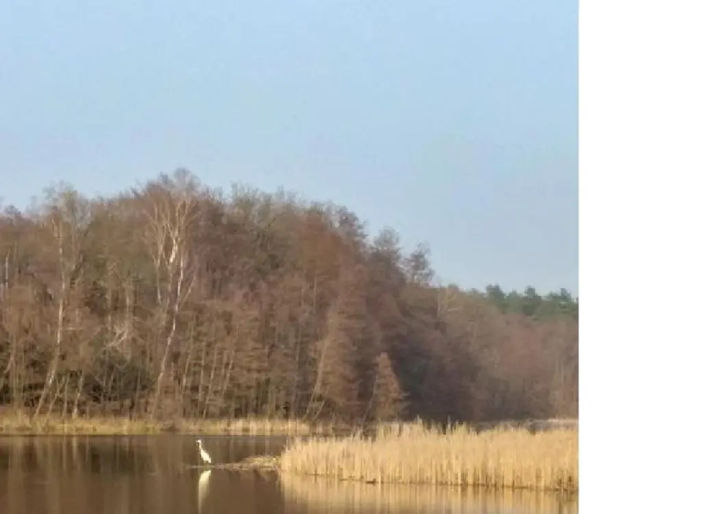 Pension & Gasthaus Kattenstieg