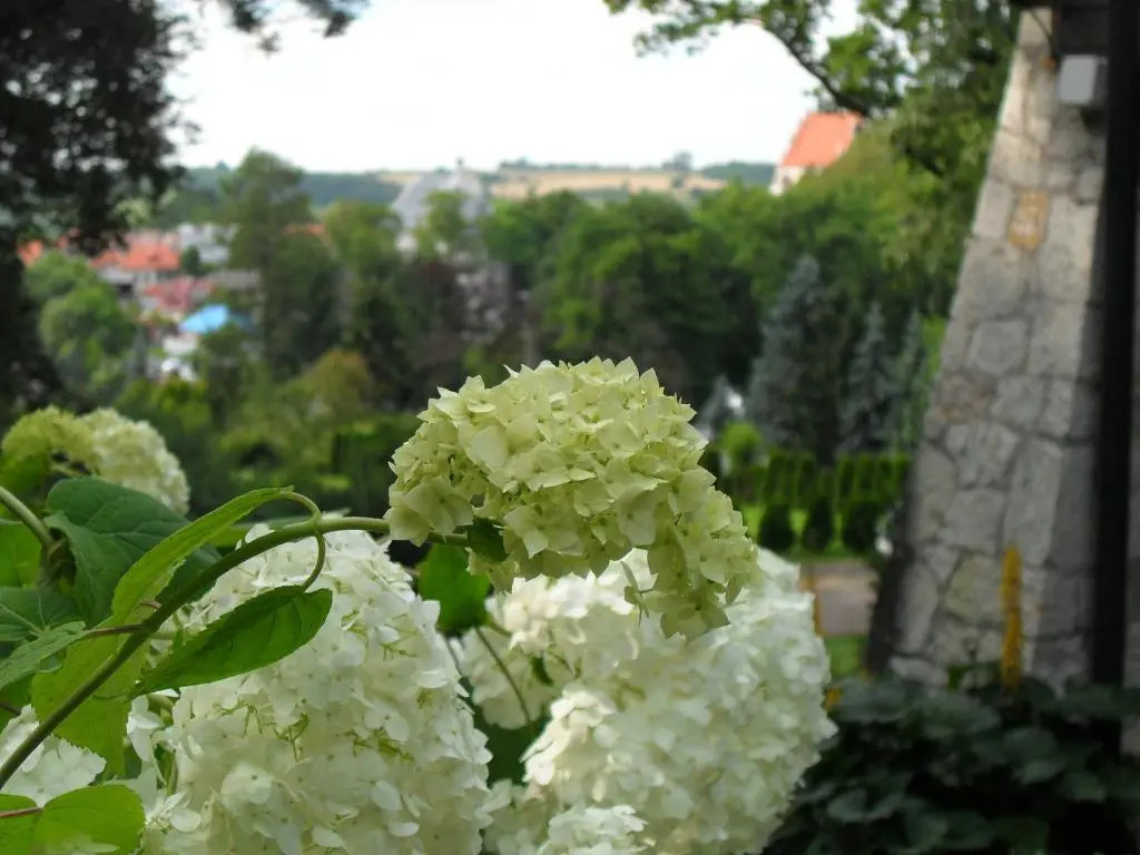 Noce i Dnie - apartamenty i pokoje