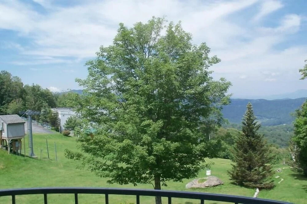 Sugar Ski & Country Club Unit 631 Silver