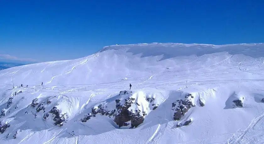 Alpine Backpackers