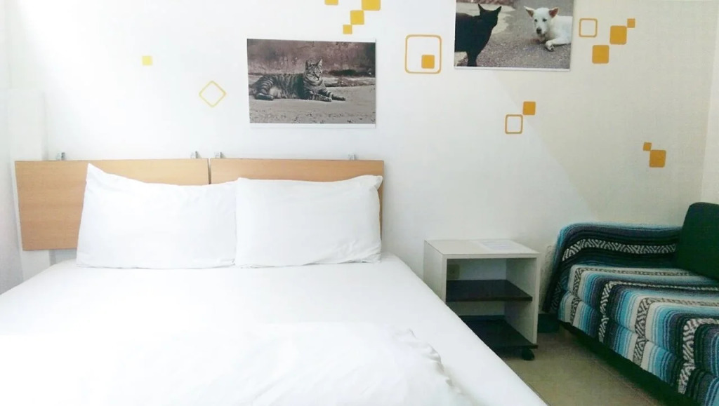 Cozy Hostel