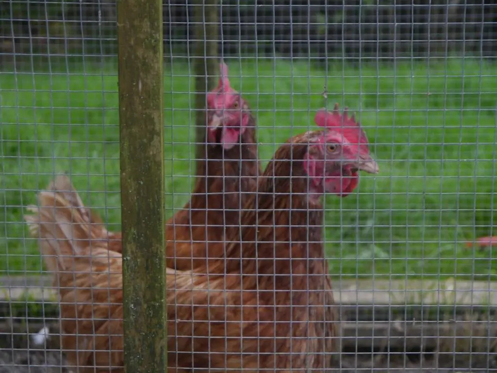 Hurst Farm B&B