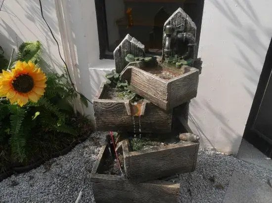 Shanghai   Dawuli Cat Garden Hotel
