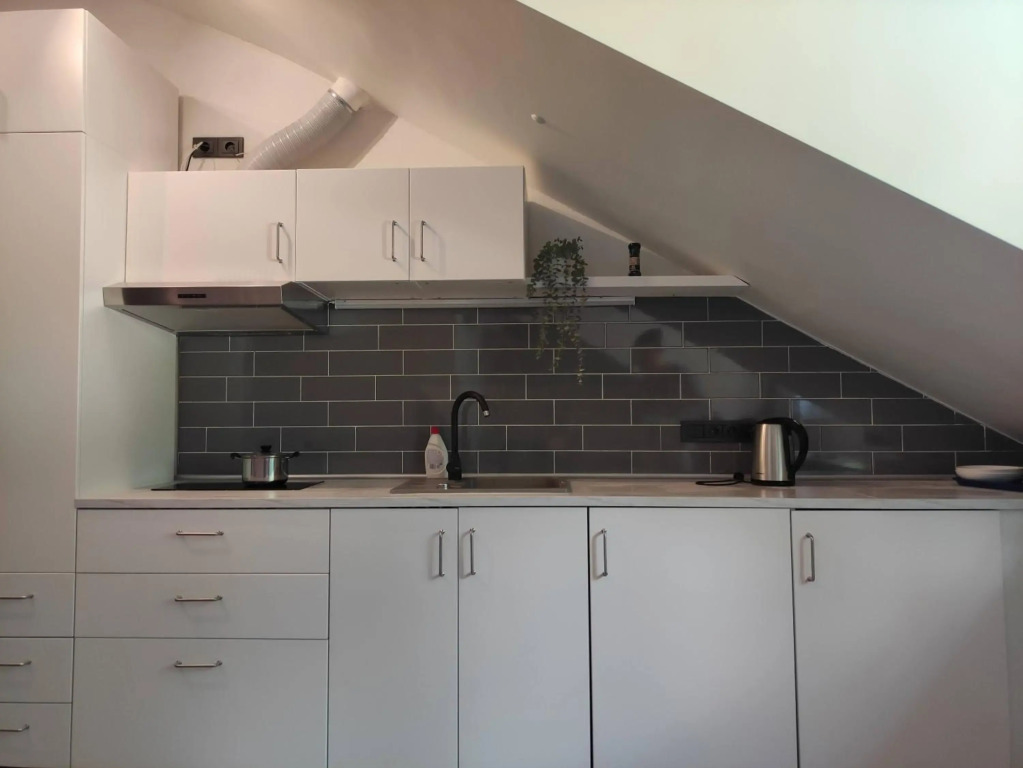 Cosy Apartments in Vilnius Center