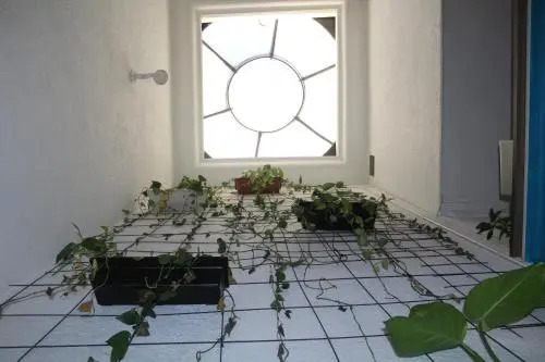 Samarian Hostel